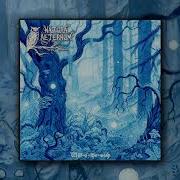 Natura Aeternum Will O The Wisp