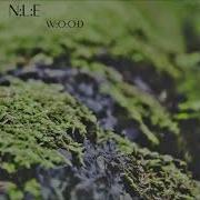 Natural Life Essence Full Albums