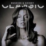 Rap Leben Bushido Shindy