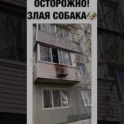 Ух Какая Злая
