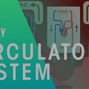Intro Fuse