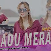 Dj Secangkir Madu Merah