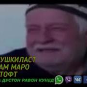 Бекаси Фуркати Саид