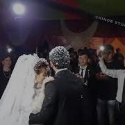 Chinorbek Saliyev Beruniy To Ylari