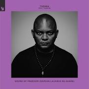 Themba Sound Of Freedom Damian Lazarus Re Shape