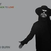 Maxi Priest Bridge You Burn