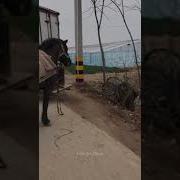 Аллахтын Кудурети