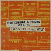 Hertzberg Funke And Affas I Want It That Way Extended Mix