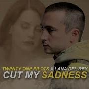 Cut My Lip X Summertime Sadness Twenty One Pilots And Lana Del Rey Mashup