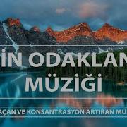 Konsantrasyon Müzikleri