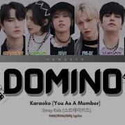 Domino Stray Kids 9 Members