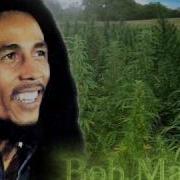 Bob Marley Jamming Rom C Remix