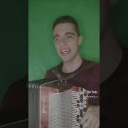 Кавер На Баяне Матушка