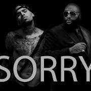 Rick Ross Ft Chris Brown Sorry Music Lyrics Chuda Bad