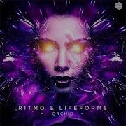 Ritm O Orchid