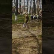 Июньской Ночи Тишину Год 41 Разорвал Минус