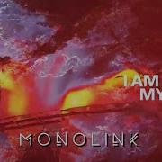 Sinner Monolink