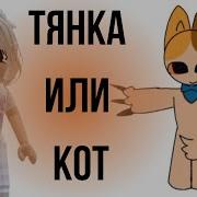 Реакция На Тянок