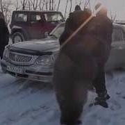 Медведь Яшка Это Россия Детка