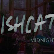 Midnight Sun Mishcatt