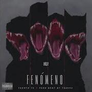 Fronto Yk Fenomeno