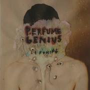 Perfume Genius Never Did