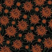 Feid Alakran Visualizer Feid