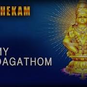 Swamy Thindagathom From Abhishekam Veeramani Raju