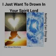The Wise Monkey I Just Want To Drown In Your Spirit Lord Nothing Can Stop Me