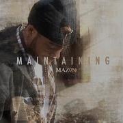 Maintaining Mazon