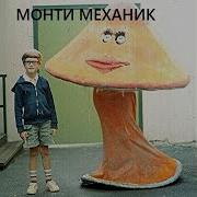 Лётчик Монти Механик