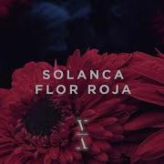 Solanca Flor Roja