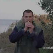 Голоса Гусей Для Электронного Манка