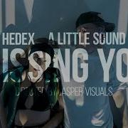 Hedex I Want You Feat Roxi Yung