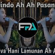 Pindo Ah Ah Pasang Lamunan Ah Ah Viral Tiktok 2024 Dj Efpea