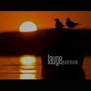 From Bottom To Shore Lauge