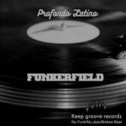 Blues Deep Inside Funkerfield