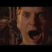 Peter Parker Spider Man Scream