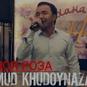 Ты Мая Роза Махмуд Худойназаров