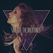 We Are The Wild Ones Alex Zelenka Vs Disco Reason Remix Nina