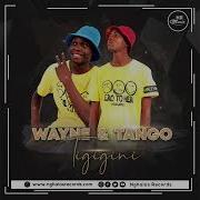 Wayne Tango Tigigini