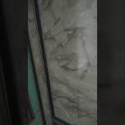 Фаргоналик Киздан Ажоиб Хиндча Кушик Талант Шоу