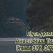 Путь Домой Анастейша Тиллман Глава 376 Аудиокнига