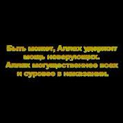 Муса Муцольгов Сура Женщины С 74 По 91 Аят Flv