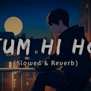 Tum Hi Ho Arijit Singh Slowed Reverb Lofi Song Soumya Vibez