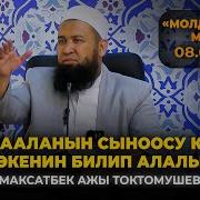 Муфтий Максат Ажы Токтомушев Баян