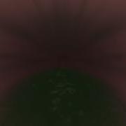 Lion Vore Pov