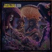 Infected Mushroom Disco Mushroom Reborn