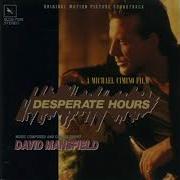 David Mansfield Desperate Hours