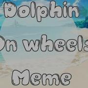 Dolphin On Wheels Meme Gacha Life